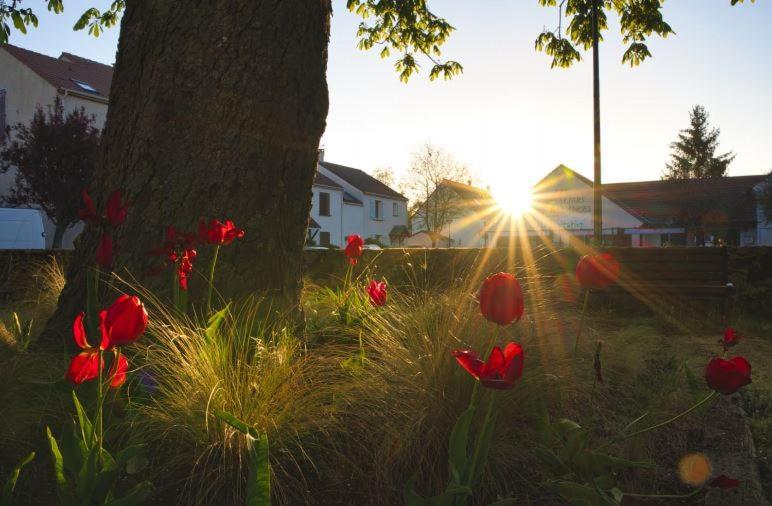 Les Chevaliers Des Balances Hotel Saint-Aubin  ภายนอก รูปภาพ